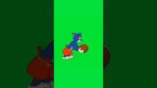 Cartoon Tom & Jerry Green Screen