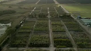 How Botanix Plant Supply uses recycled water from the Eastern Treatment Plant