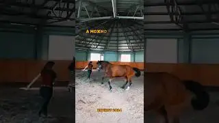 ⚡я всегда онлайн в телеграме - @eqvirey