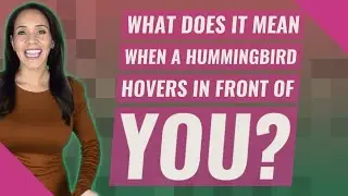 What does it mean when a hummingbird hovers in front of you?