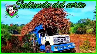 Dochezon Saliendo del corte