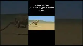 желание сходить в туалет в 3:00