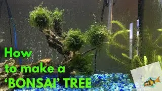 HOW TO MAKE AN UNDERWATER BONSAI TREE WITH SUBWASSERTANG