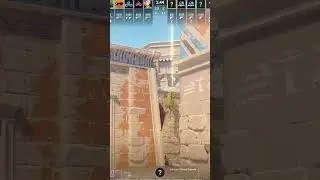PRO ANUBIS B SMOKES YOU SHOULD KNOW
