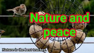 Nature and peace | prakriti ka saundarya | beauty of nature | God made us and everything