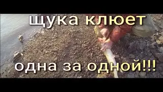 Рыбалка на РЕЗИНКУ!!!   Щука клюет одна за одной. Рыбалка на щуку. Рыбалка на Амуре.