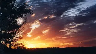 Tony Anderson - Rise