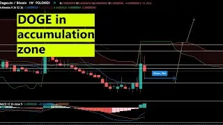 DOGECOIN Price Prediction January 2021 - DOGE / BTC, DOGE / USD technical price analysis