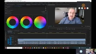 Video editing training in Adobe Premiere Pro. Lesson fragment