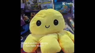 RANDOM CAPCUT TEMPLATE #edit #shorts #template #flippy #plush #bus #schoolbus
