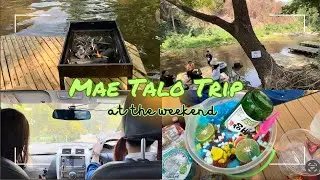 Mae Talo Trip at the weekend