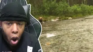 HEY BEAR!!! 8 Bear Encounters You Really Shouldn't Watch REACTION!!!