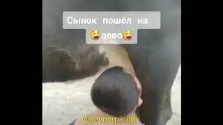 Bolachani kóriglar kimda shunday bólgan