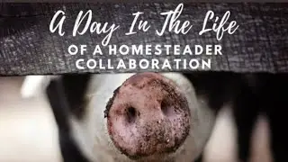 A DAY IN THE LIFE OF A HOMESTEADER - COLLAB