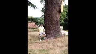 Когда появился УКРАИНСКИЙ язык? When did the Ukrainian language appear?