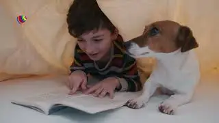 Por Una Educación de Calidad - Clan