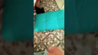 14 июня 2024 г.