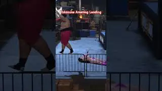 #yokozuna