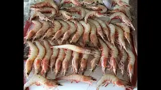 How to devein shrimp prawns 3 easy ways