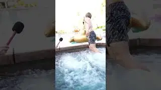 That poor goose 😭