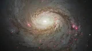 Is Our Universe Eating Other Universes?