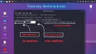 Tracking IP address and mac address of any device and website
