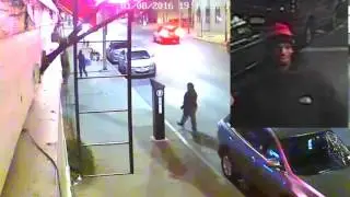 Pitbull attacks elderly women's dog from her wheelchair