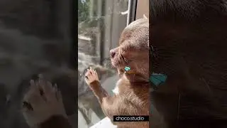 🤗 В ожинадии своего постоянника 