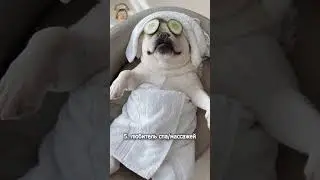 Какой ты тип людей в отпуске #мем #юмор #shorts