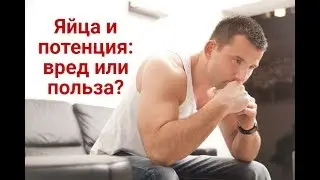 Яйца и потенция: вред или польза?