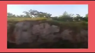 Vlog: with me amilda susana mira la descripcion