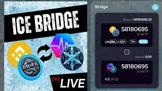 Podcast 05.05.2024: Horsekick in my back feat. ICE-Bridge live (Video Nr.48)