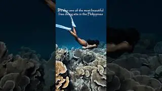 Why SIARGAO is an amazing paradise? 😍🤩