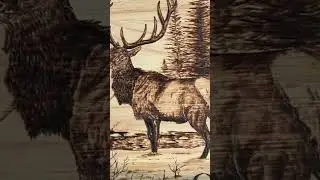 Wood burning an elk 😀