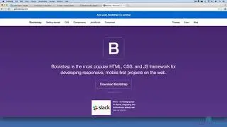 53 custom shortcodes