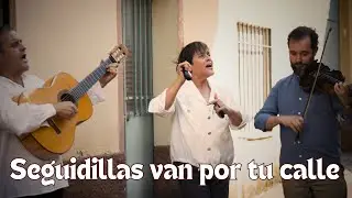 Seguidillas van por tu calle. Album: We. Vigüela. #musicatradicional #castillalamancha