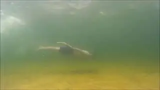 Easy twist. Hand fin