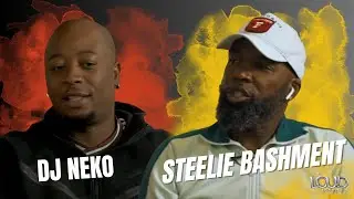 Steelie Bashment not just a 80s 90s DJ