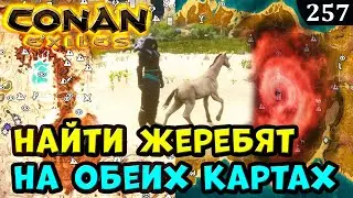Conan Exiles Места СПАВНа Жеребят на двух Картах