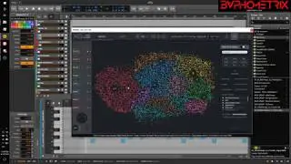Deep Dive Into XO by XLN Audio (long and in-depth)