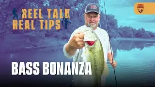 EP: 5 Bass Bonanza - Featuring Michael Stranz, Reel Talk Real Tips