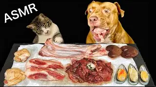 ASMR MUKBANG PITBULL EATING RAW FOODS WITH KITTEN