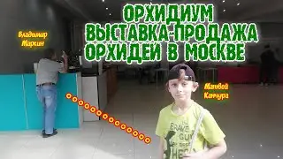 ОРХИДИУМ в Москве✔️Продажа Орхидей✔️Выставка Орхидей/MOSCOW VLOG/