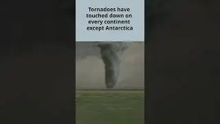 Tornado Facts