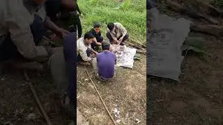được nghỉ nhầu rồi chơi bài bịp#shortvideo