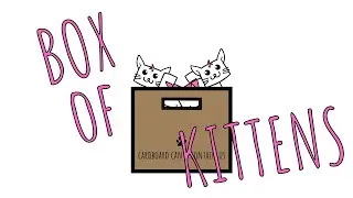 BOX OF KITTENS