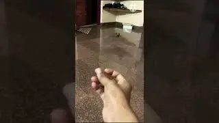 Leo wants to FLY