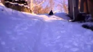one day, as we were sledding...