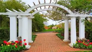 Frelinghuysen Spring 2021 2
