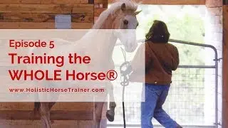 Training the WHOLE Horse® Episode 5